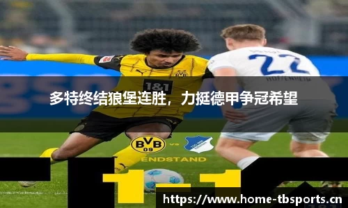 天博体育官方网站